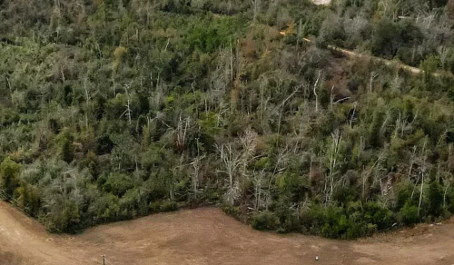 Calhoun County Hurricane Restoration Project in Florida