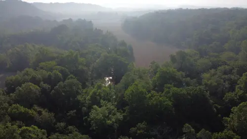 Beanblossom Floodplain in Indiana